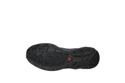 Salomon XT-6 GTX Concord Grape Stormy Weather Ttw Silver